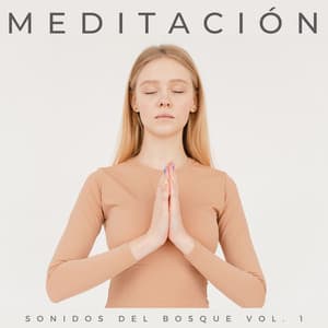 Meditación: Sonidos Del Bosque Vol. 1 - El colectivo de la selva tropical
