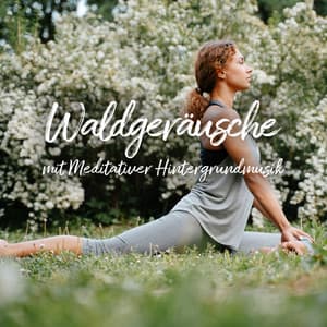 Waldgeräusche mit Meditativer Hintergrundmusik - Erholsame Musik Akademie