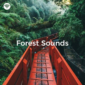 Forest Sounds: Wandering Through Whispering Pines - Nature