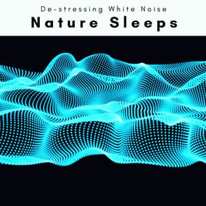 2022 Nature Sleeps - De-stressing White Noise