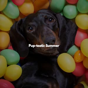 Pup-tastic Summer - Upbeat Morning Music