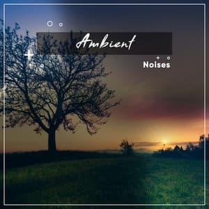 #10 Ambient Noises for Spa Relaxation or Meditative Calm - ambiente spazio musica