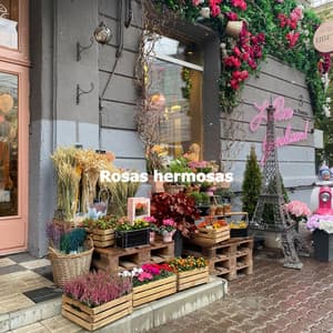 Rosas hermosas - Lounge Playlist Luxury