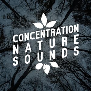 Concentration Nature Sounds - Deep Sleep Relaxation