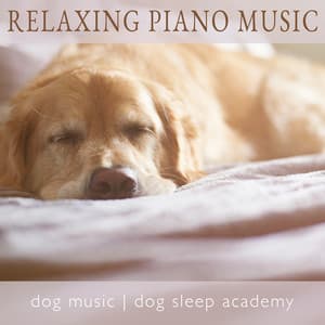 Relaxing Piano Music - Dog Music