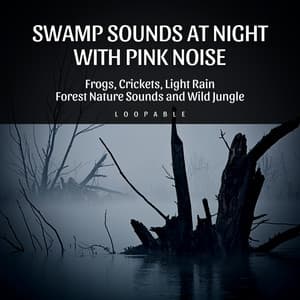 Swamp Sounds at Night with Pink Noise - Frogs, Crickets, Light Rain, Forest Nature Sounds and Wild Jungle, Loopable - Frog Sounds Channel