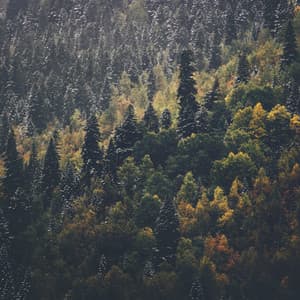 Relaxing Sleep Music - Entspannings und Schlaf Musik