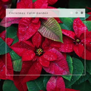 4 Relax:2023 Christmas Calm Garden - Slow Christmas Songs