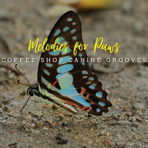 Canine Jazz Serenades: Lounge Melodies for Paws - Mellow Jazz Beats