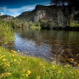 Rhythms of Nature's Flow: Relaxing Music Water - Best Nature Sounds