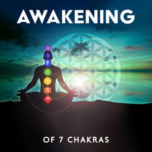 Awakening Of 7 Chakras - Sacral Chakra Universe