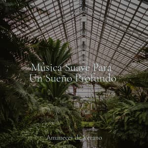 Música Suave Para Un Sueño Profundo - Relaxing Spa Music