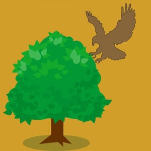 Funky Jazz Organ - Bgm for Chilled Essentials - Hotel Lobby Jazz Music