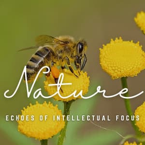 Study Dreamscapes: Echoes of Intellectual Focus - Relaxing Study Music Playlists