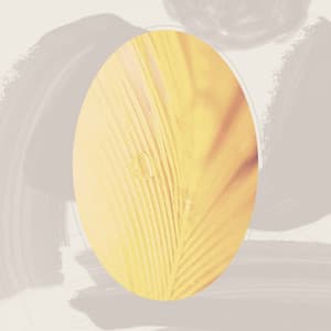 Feelings for Seasonal Feelings - Cosy Music Deluxe