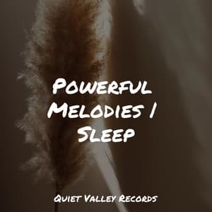 Powerful Melodies | Sleep - Deep Sleep FX
