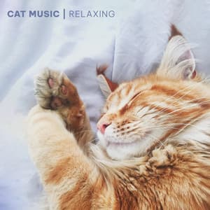Cat Music - Relaxing Songs for Cats and Kittens - Cat Music