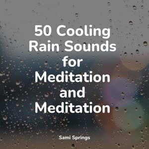 50 Cooling Rain Sounds for Meditation and Meditation - Lush Rain Creators