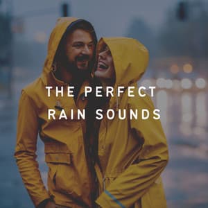 The Perfect Rain Sounds - Meditation Rain Sounds