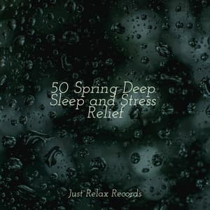 50 Spring Deep Sleep and Stress Relief - Musica para Meditar