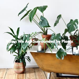 When We Are Surrounded by Plants - Musica Jazz di Sottofondo