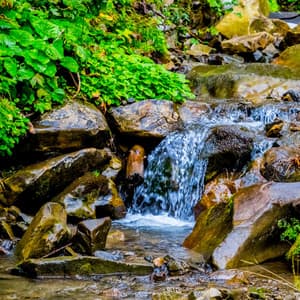 Gentle Waterside Whispers: Chill Music Water - Nature Sounds And Whispers