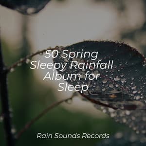 50 Spring Sleepy Rainfall Album for Sleep - Nature Sounds