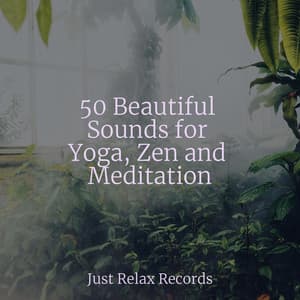 50 Beautiful Sounds for Yoga, Zen and Meditation - Chakra Balancing Sound Therapy