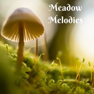 Meadow Melodies - Natural Samples