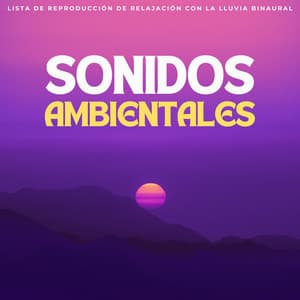 Sonidos Ambientales: Lista De Reproducción De Relajación Con La Lluvia Binaural - Cara de lluvia