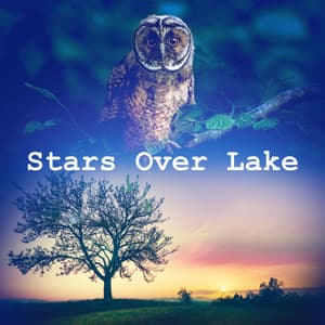 Stars Over Lake - Nature Sounds Meditation