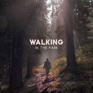 Walking In The Park - The Colourful Clown