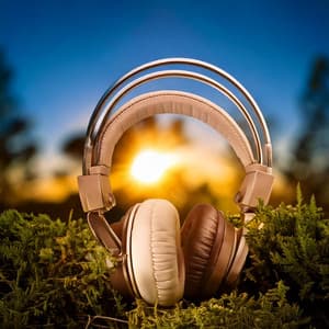 Relaxation Harmony: Soothing Soundscapes Unfolded - COZY MUSIC