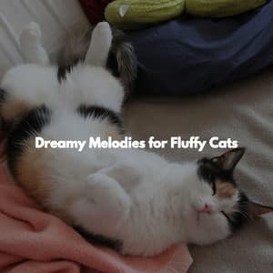 Dreamy Melodies for Fluffy Cats - Rilassante Jazz Musica Ambiente