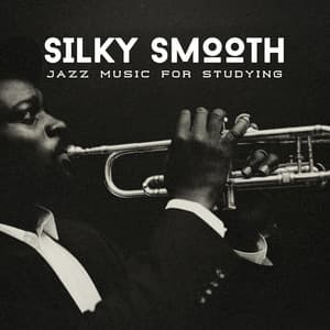 Silky Smooth: Smooth Jazz - Jazz Music for Studying