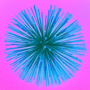 Echoes of Smart Studies - Los Pianos Barrocos