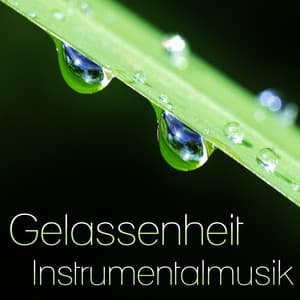 Gelassenheit Instrumentalmusik: Energieheilung Meditation, Yoga-Musik, Spa, Massage, Naturgeräusche für die Schlaftherapie - Entspannungmusik Academy