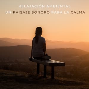 Relajación Ambiental: Un Paisaje Sonoro Para La Calma - Naturaleza Caldwell