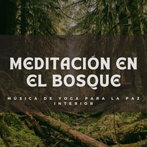 Meditación En El Bosque: Música De Yoga Para La Paz Interior - Bosque Tropical