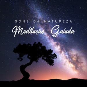 Meditação Guiada - Sons Da Natureza - Meditação Guiada