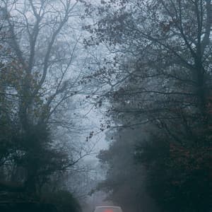 Sonidos De La Naturaleza | Relajación | Música Tranquila | Sueño Profundo Y Serenidad - Sleep Sound Library