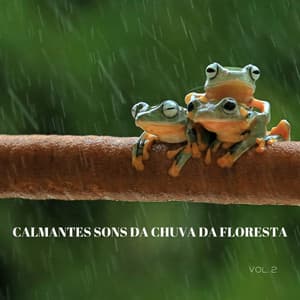 Calmantes Sons Da Chuva Da Floresta Vol. 2 - #Calmante
