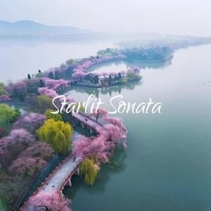 Starlit Sonata - Relaxing Piano Music