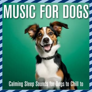 Music for Dogs: Calming Sleep Sounds for Dogs to Chill to - Relaxmydog