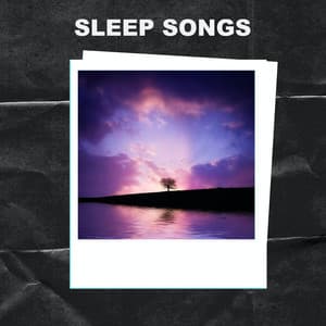 Sleep Songs - Sleep Songs