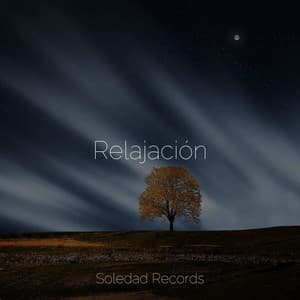 Relajación - Entrenamiento Autògeno y Meditación Specialistas
