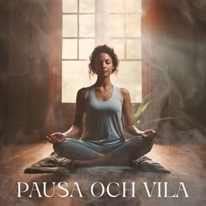 Pausa och vila: Mjuka meditationer för balans och läkning - Lugn Musik Atmosfär