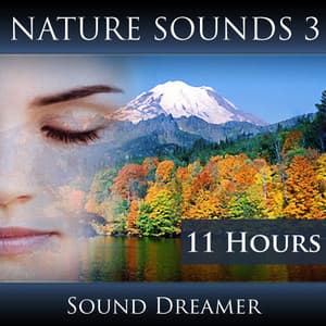 Nature Sounds 3 - 11 Hours - Sound Dreamer