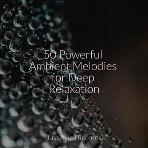 50 Powerful Ambient Melodies for Deep Relaxation - Thunderstorm Sound Bank
