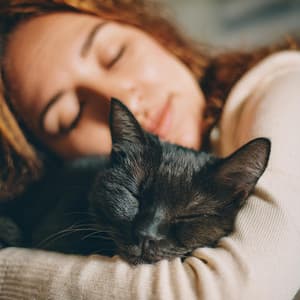 Descanso Nocturno: Ritmos De Hip Hop Para Gatos - Fuente binaural